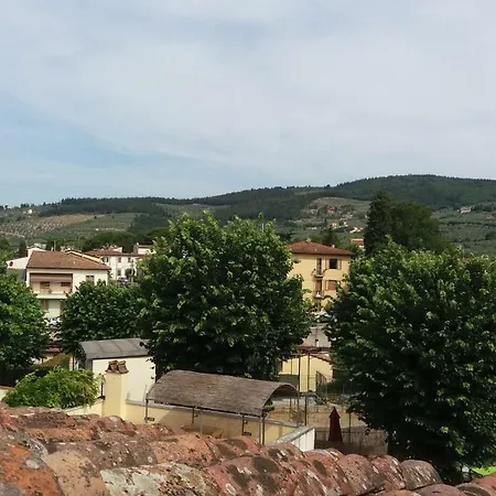 Il Nido Della Formica