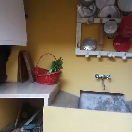 Il Nido Della Formica *