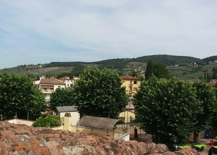Il Nido Della Formica